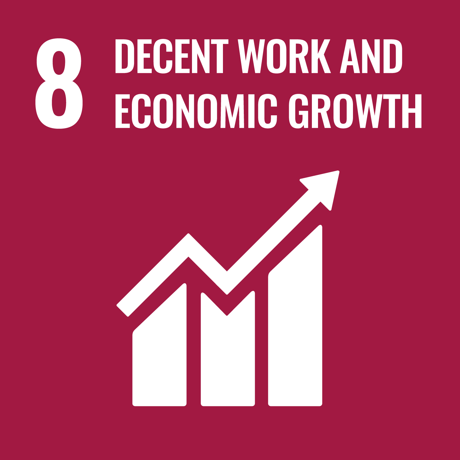 Sustainable Development Goal 8 Logo